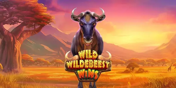 Wolf Gone Wild Hold and Win